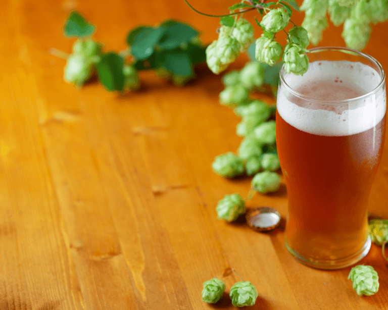 Read more about the article Cerveza India Pale Ale: 12 curiosidades que quizás no sabes