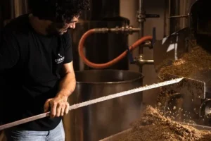 Diferentes tipos de malta para hacer cerveza artesana